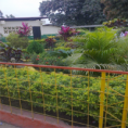 /album/fotogaleria/area-verde4-png/